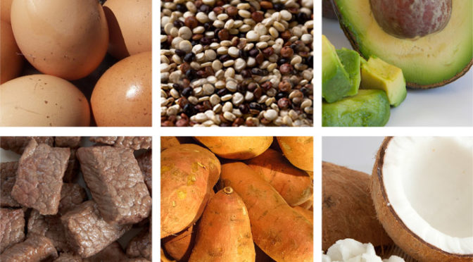 nutrition-101-a-beginners-guide-to-macronutrients