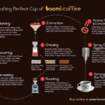Boomi Coffee Infographics - Crafting Perfect Cup